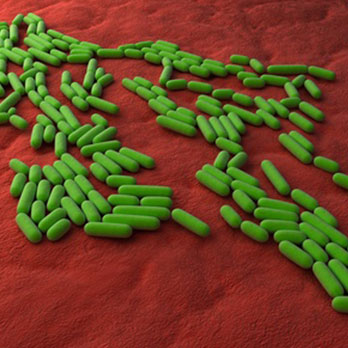 détection de contaminants à effet pyrogène – Test d’activation des monocytes (MAT)