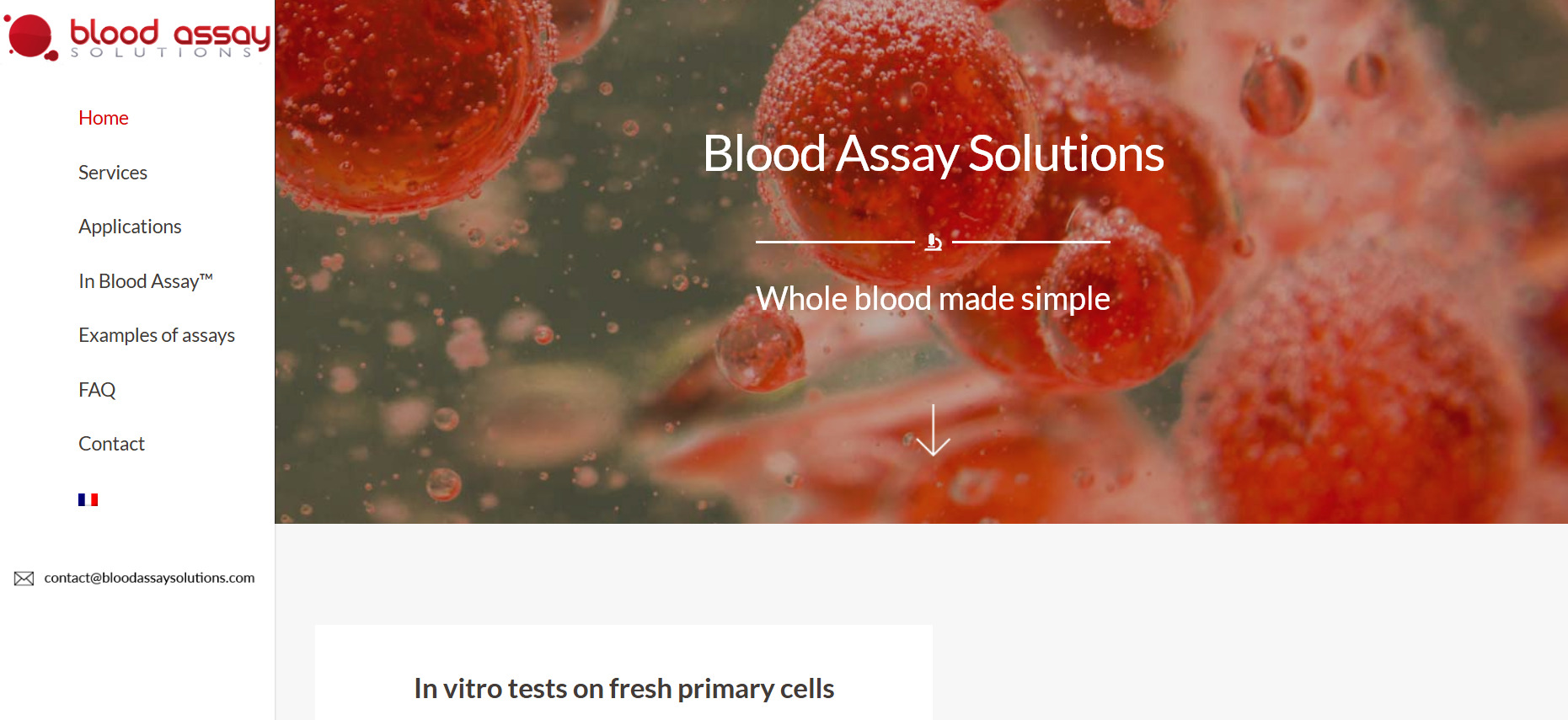 Blood Assay Solutions Whole blood assay development