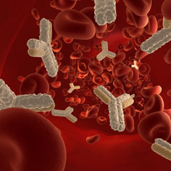 bioactivity testing using whole blood assays